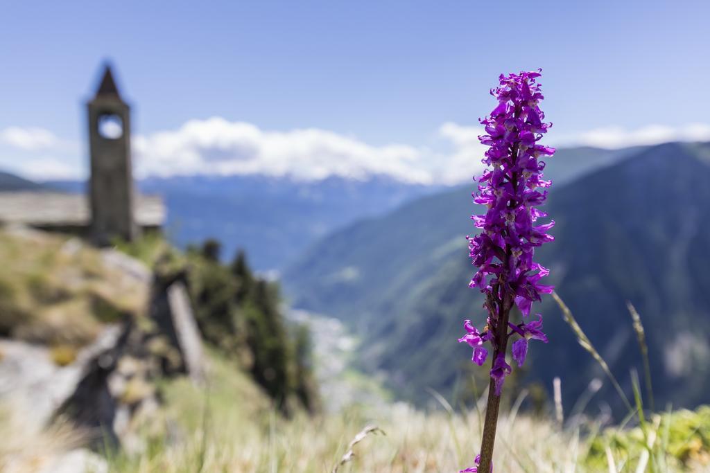 Rifugio Alpe San Romerio Brusio Exterior photo